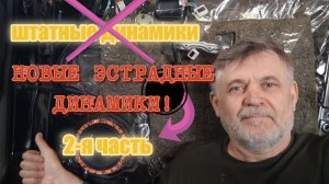 Динамики DL в задние двери вместо штатных