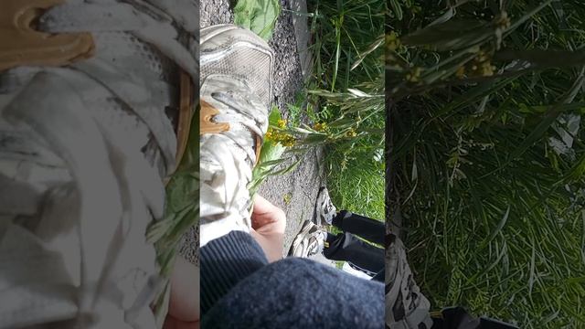 жарем сосиски без костра 😅