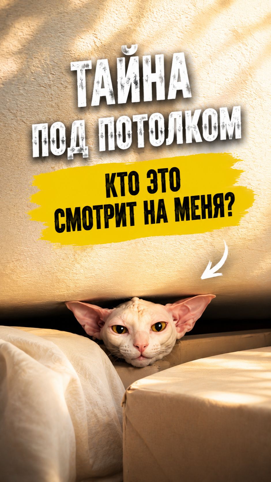 Загадочное существо под потолком
