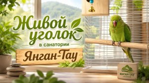 Живой уголок в санатории Янган-Тау