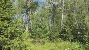 Участок в КП