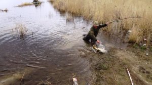 Бешеный клев рыбы на каждом забросе. Рыбалка в дикой местности