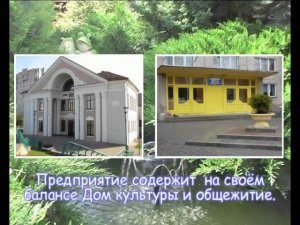 Цветлит 2012
