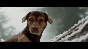 Путь домой (2019) Трейлер на русском