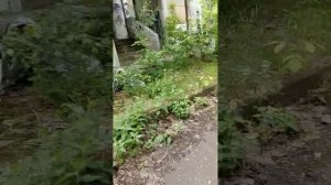 ходим по заброшке