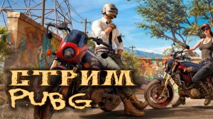 Субботний отдых - PUBG:Battlegrounds