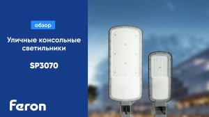 Уличные консольные светильники Feron SP3070