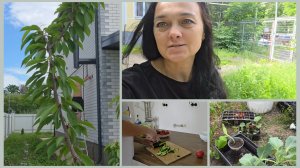 344 НАМ СКАЗАЛИ МЫ КРАСИМ. КУПИЛА КАПУСТУ. ЖИЗНЬ В НАШЕМ ДОМЕ.