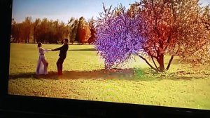 видео  друг  поёт  про  любовь он  на вокал  заканчивал вот  голос  непревзайдёный