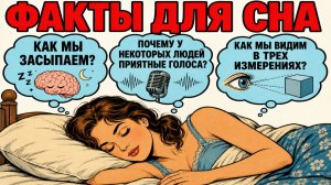 Вопросы под которые легко уснуть