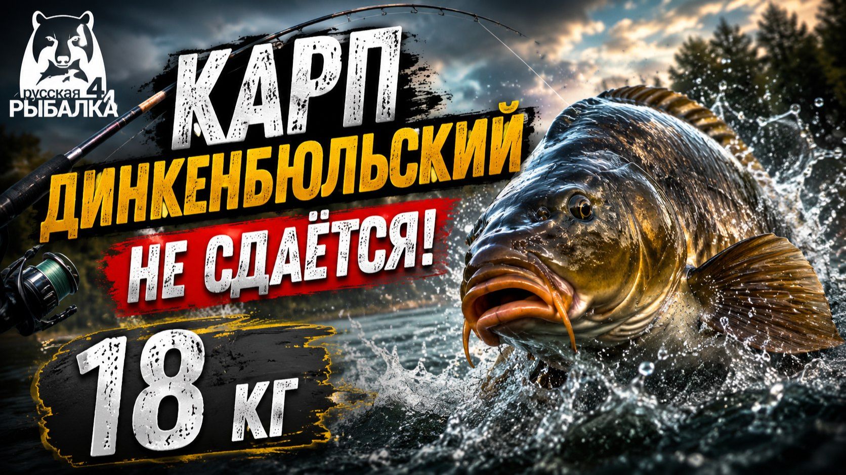 [Фидер] Карп Динкенбюльский! Сопротивление рыбы - наглядно! [RF-4]