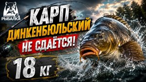 [Фидер] Карп Динкенбюльский! Сопротивление рыбы - наглядно! [RF-4]