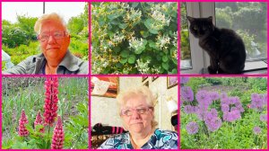 30.05.26 🌺 ОГОРОДНЫЕ ДЕЛА 🌺 ОКАЗЫВАЕТСЯ ПЛАКАТЬ НАДО ЧТОБЫ ХУДЕТЬ 🤣👍🌺