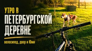 Утро в Петербургской деревне