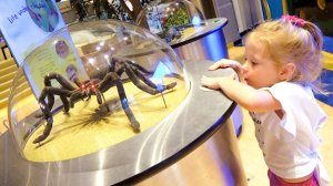 Детский музей науки - Развлечения для детей   Children's Museum Kids Pretend Play