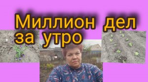 Летний день... 👍 Столько дел💥Дрова дорогие.