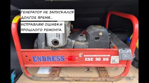 Генератор Endress ESE 30BS