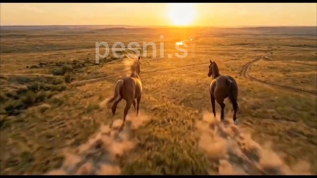 Скачут лошади