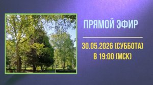 Анонс эфира 30.05.2026