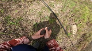 РЫБАЛКА НА ПОПЛАВОЧНУЮ УДОЧКУ