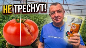 Как сэкономить на защите томатов Дешевая замена кальцию от растрескивания плодов