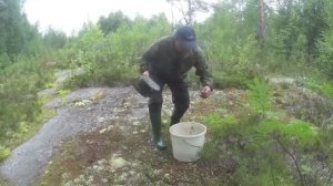 РЫБА ЕСТЬ! ИДУЩИЙ ПО ЛЕДЯНОЙ ВОДЕ! ПРОВЕРИЛ ЛОВУШКИ НА КОЛЬЯХ! СОБРАЛ ЧЕРНИКИ!