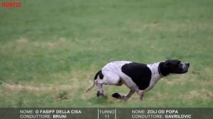 Ofasiff Della Cisa