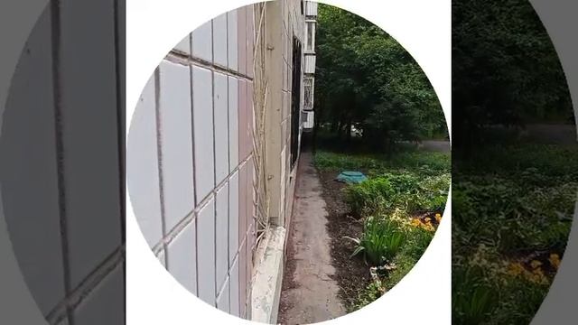 блин спалилась смотреть онлайн