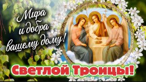 С Троицей! 🌿 Красивое поздравление - песня с Троицей | Душевная видео открытка с пожеланиями