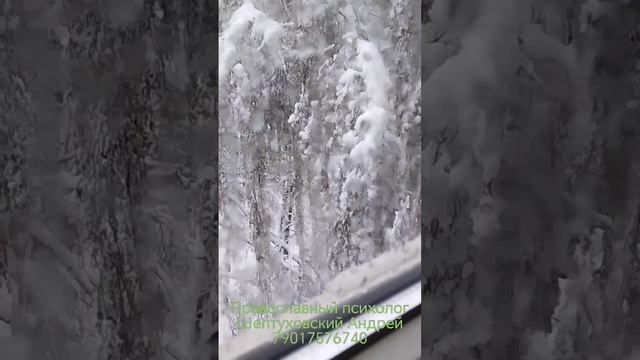 ПОГОДА В ДОМЕ