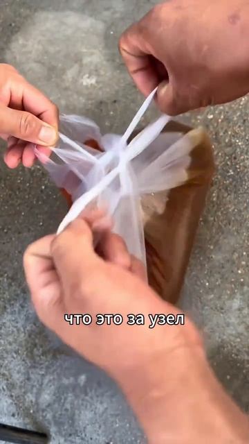 #популярное