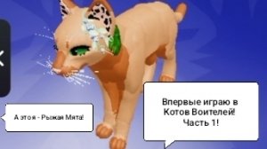 ВПЕРВЫЕ ИГРАЮ В КОТОВ ВОИТЕЛЕЙ В РОБЛОКС ЧАСТЬ 1!/Я в шоке от этой имбы😍/💠 Proxy 💠АВ/КВ