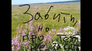 Забить, но про тебя не забыть