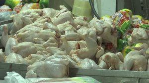 Птицефабрика Новороссийск