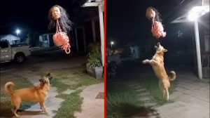 Эти ВИДЕО Перевернули МИР! Реальные Кадры, Которые НЕВОЗМОЖНО Объяснить