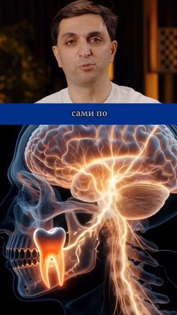 Почему у человека именно 32 зуба