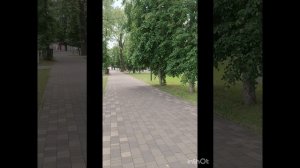 мой выход в парк