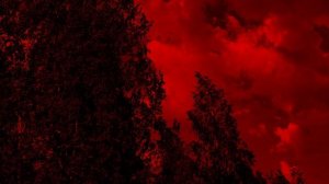 Грустная мелодия без слов. Грустная мелодия из Тик Тока