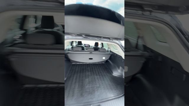 Kia Sportage 2022 2.5 AT смотреть онлайн
