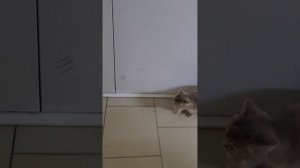 УСЛОЖНЕНИЕ! УСПЕЛИ!