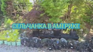 Сельчанка в Америке НАКОНЕЦ-ТО НАШЛА СВОЮ МЕЧТУ