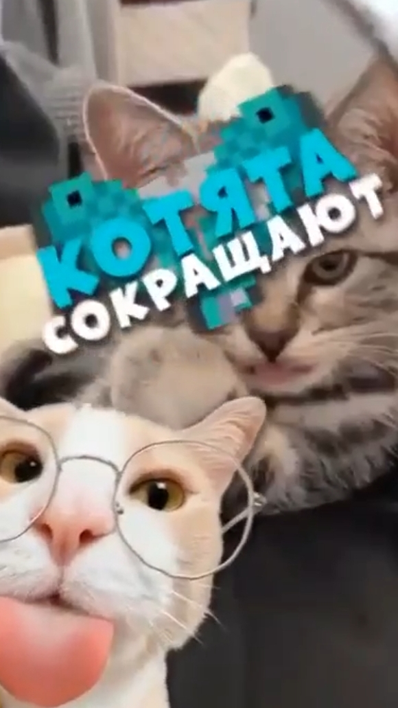 Самый дорогой арбуз? смотреть онлайн