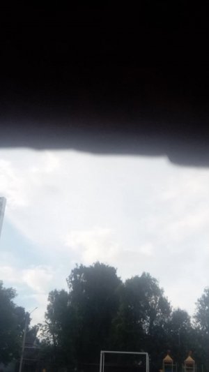 Аниме