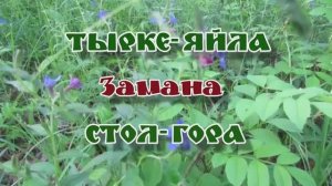 Тырке-Яйла... Стол-Гора... Замана... 25.05.2026.