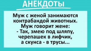 Муж и Жена - Контрабандисты диких животных... | Анекдоты смешные | Юмор