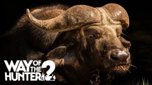 Охота на африканского Буйвола | Way of the Hunter 2 | Путь Охотника #14