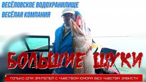 Щуки Весёловского водохранилища
