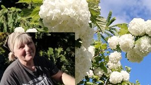Влог 30-05-2026