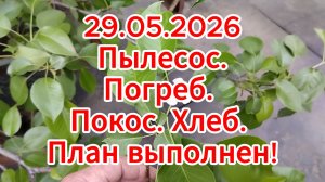 29.05.2026 Пылесос. Погреб.  Покос. Хлеб. План выполнен!