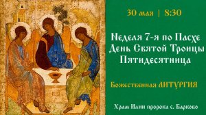 День Святой Троицы. Пятидесятница. Божественная Литургия.